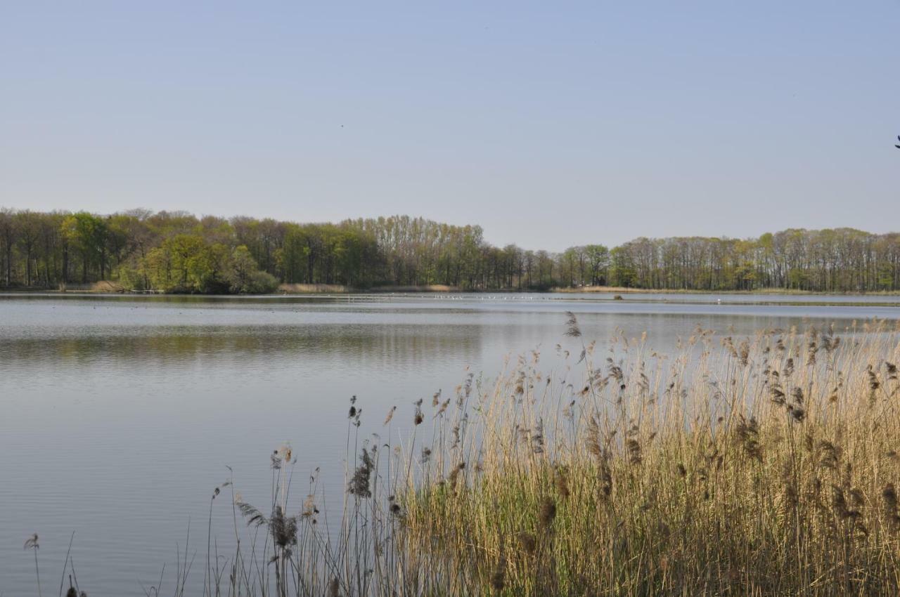 'T Schoan Leven Willa Wingene Zewnętrze zdjęcie